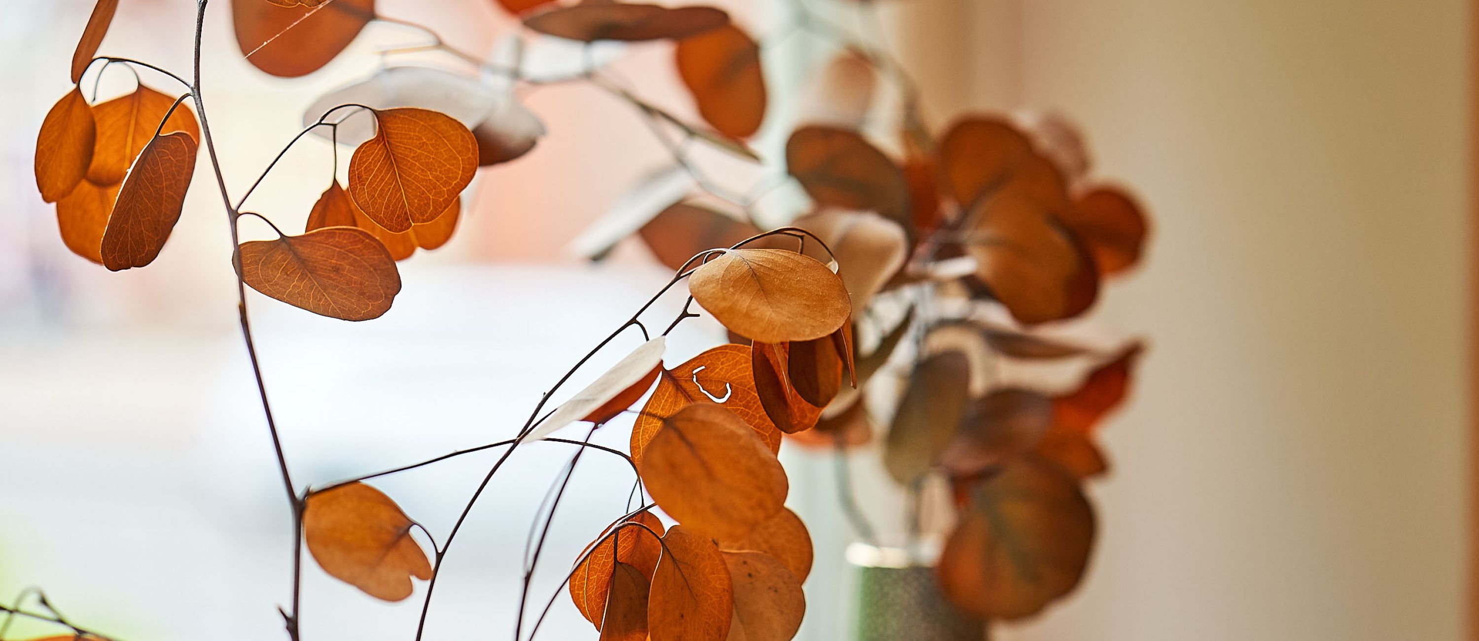 Impressionen Praxis Brüggenwerth